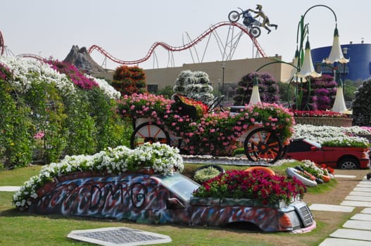 Dubai Miracle Garden in the UAE. It has over 45 million flowers.