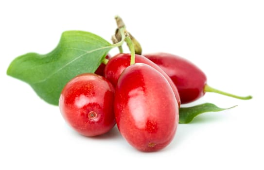 Fresh cornel berries with leaves isolated oon white background