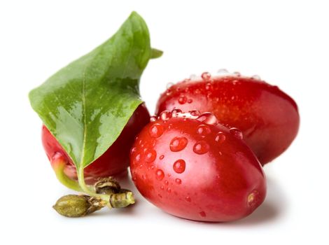 Cornel berries with water drops isolated on white background