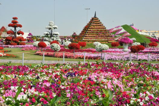 Dubai Miracle Garden in the UAE. It has over 45 million flowers.