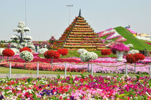 Dubai Miracle Garden in the UAE. It has over 45 million flowers.