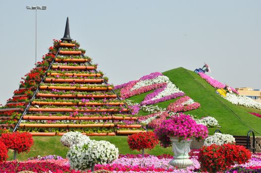 Dubai Miracle Garden in the UAE. It has over 45 million flowers.