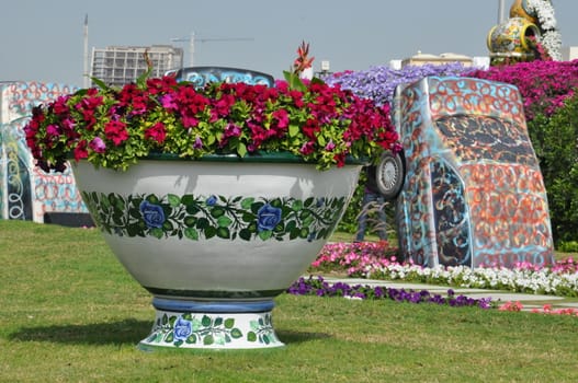 Dubai Miracle Garden in the UAE. It has over 45 million flowers.