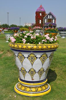 Dubai Miracle Garden in the UAE. It has over 45 million flowers.