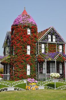 Dubai Miracle Garden in the UAE. It has over 45 million flowers.