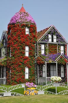 Dubai Miracle Garden in the UAE. It has over 45 million flowers.