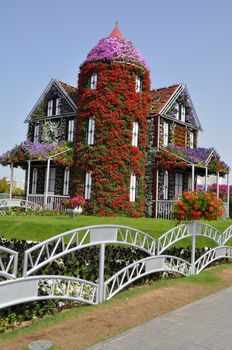 Dubai Miracle Garden in the UAE. It has over 45 million flowers.