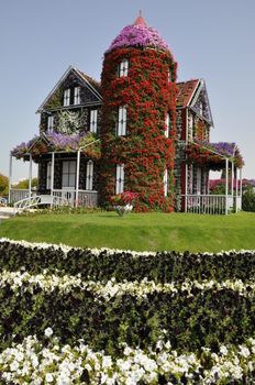 Dubai Miracle Garden in the UAE. It has over 45 million flowers.