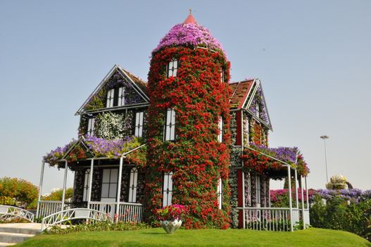 Dubai Miracle Garden in the UAE. It has over 45 million flowers.