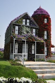 Dubai Miracle Garden in the UAE. It has over 45 million flowers.