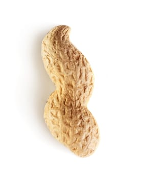 Peanut isolated on white background