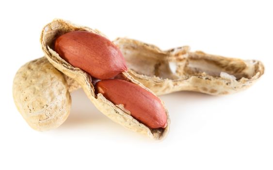 Peanuts isolated on white background
