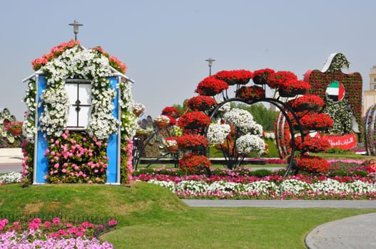 Dubai Miracle Garden in the UAE. It has over 45 million flowers.