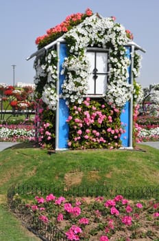 Dubai Miracle Garden in the UAE. It has over 45 million flowers.