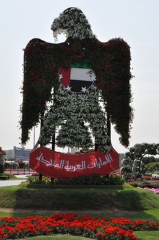 Dubai Miracle Garden in the UAE. It has over 45 million flowers.