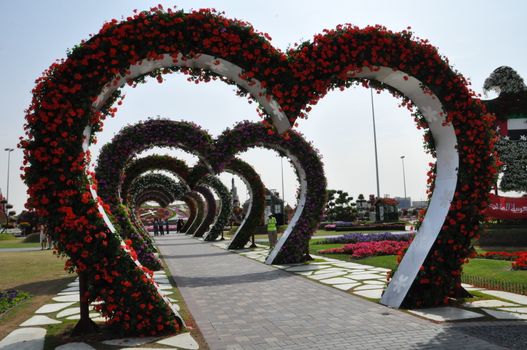 Dubai Miracle Garden in the UAE. It has over 45 million flowers.