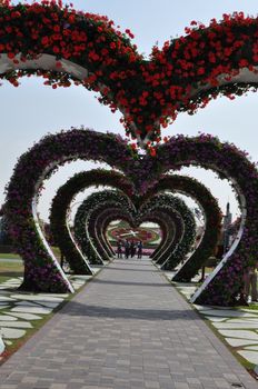 Dubai Miracle Garden in the UAE. It has over 45 million flowers.