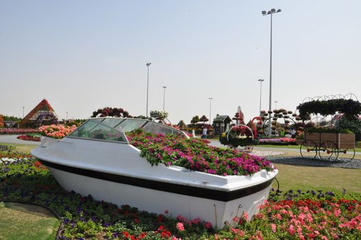 Dubai Miracle Garden in the UAE. It has over 45 million flowers.