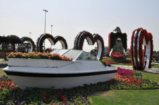 Dubai Miracle Garden in the UAE. It has over 45 million flowers.