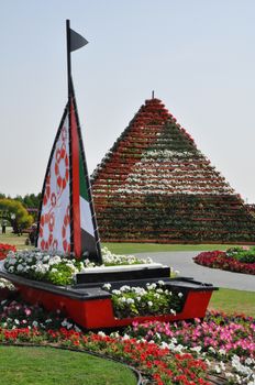 Dubai Miracle Garden in the UAE. It has over 45 million flowers.