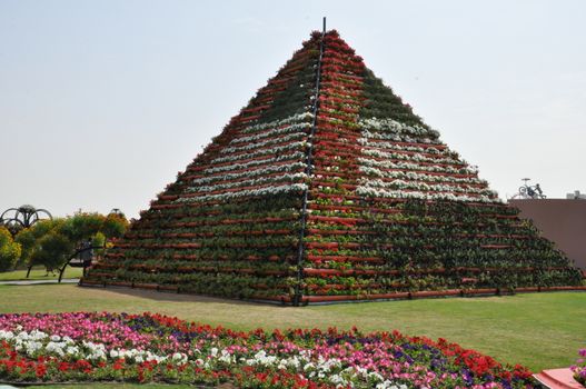 Dubai Miracle Garden in the UAE. It has over 45 million flowers.