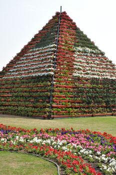 Dubai Miracle Garden in the UAE. It has over 45 million flowers.