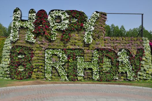 Dubai Miracle Garden in the UAE. It has over 45 million flowers.