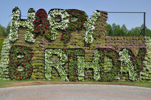 Dubai Miracle Garden in the UAE. It has over 45 million flowers.