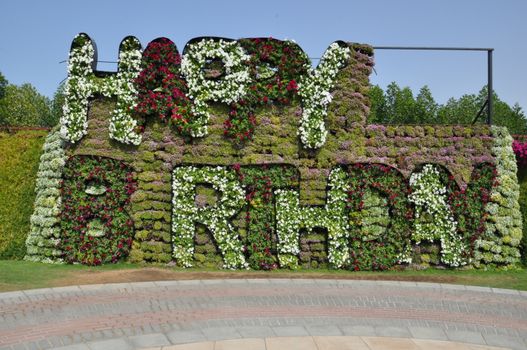 Dubai Miracle Garden in the UAE. It has over 45 million flowers.