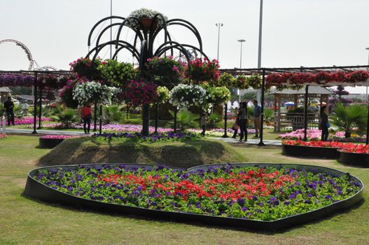 Dubai Miracle Garden in the UAE. It has over 45 million flowers.