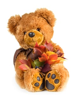 Pretty toy teddy bear with bouquet of autumn leaves isolated on white background