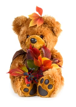 Pretty toy teddy bear with bouquet of autumn leaves isolated on white background