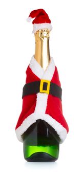 Champagne bottle in a Christmas decoration santa clothes isolated on white background