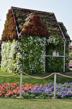 Dubai Miracle Garden in the UAE. It has over 45 million flowers.