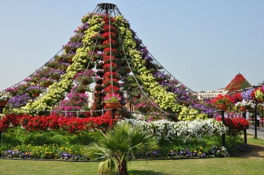 Dubai Miracle Garden in the UAE. It has over 45 million flowers.