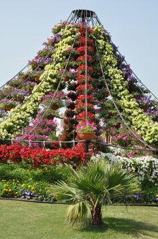 Dubai Miracle Garden in the UAE. It has over 45 million flowers.