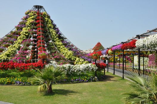 Dubai Miracle Garden in the UAE. It has over 45 million flowers.