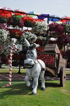 Dubai Miracle Garden in the UAE. It has over 45 million flowers.