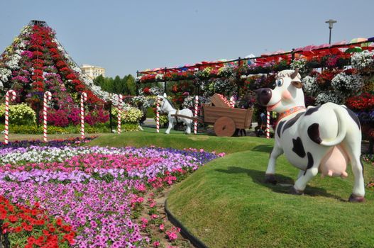 Dubai Miracle Garden in the UAE. It has over 45 million flowers.