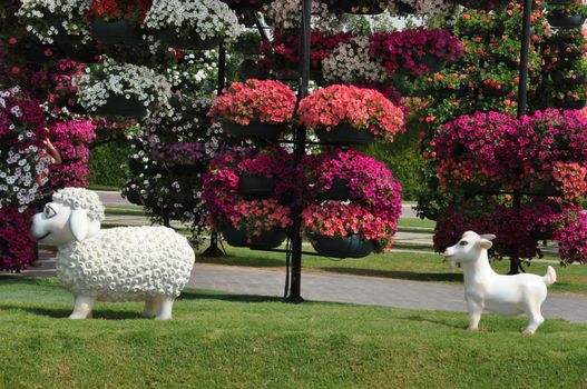 Dubai Miracle Garden in the UAE. It has over 45 million flowers.