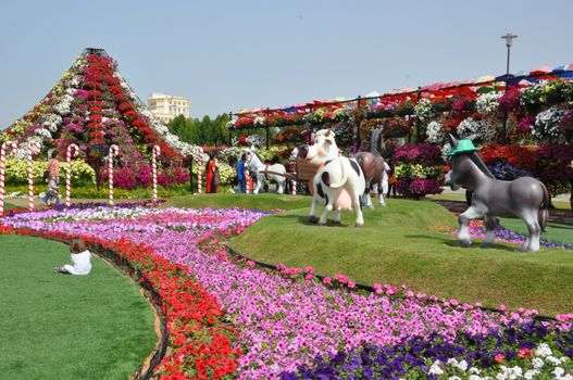 Dubai Miracle Garden in the UAE. It has over 45 million flowers.