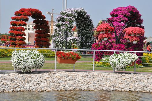 Dubai Miracle Garden in the UAE. It has over 45 million flowers.