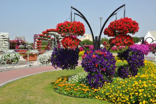 Dubai Miracle Garden in the UAE. It has over 45 million flowers.