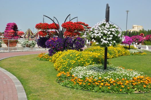 Dubai Miracle Garden in the UAE. It has over 45 million flowers.