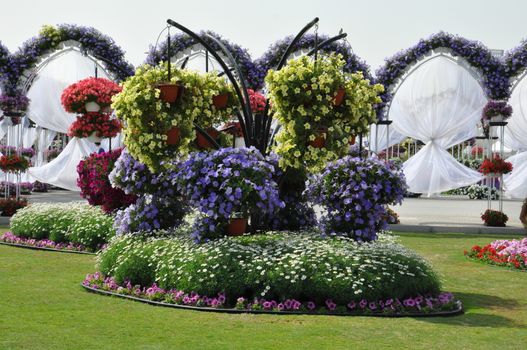 Dubai Miracle Garden in the UAE. It has over 45 million flowers.