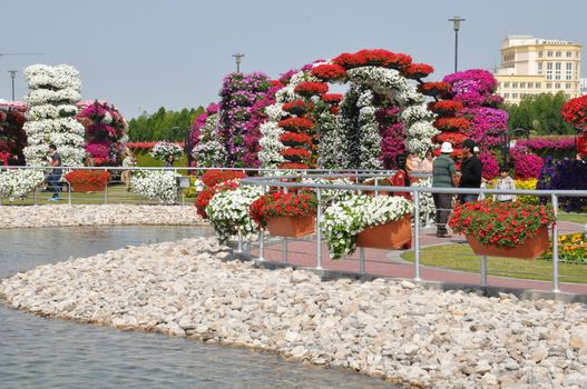 Dubai Miracle Garden in the UAE. It has over 45 million flowers.