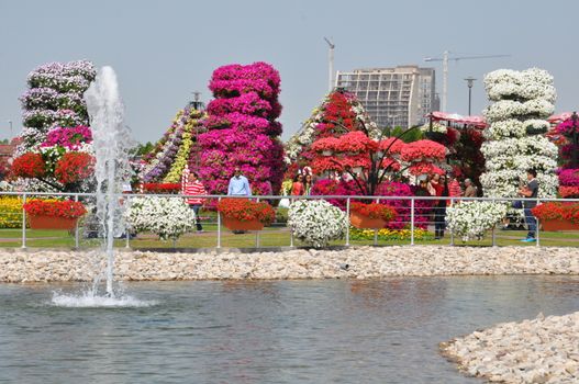 Dubai Miracle Garden in the UAE. It has over 45 million flowers.