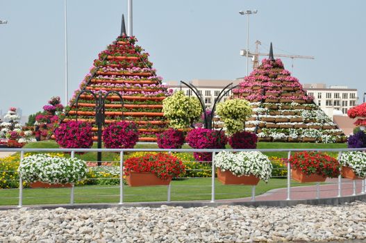 Dubai Miracle Garden in the UAE. It has over 45 million flowers.