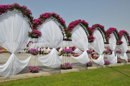 Dubai Miracle Garden in the UAE. It has over 45 million flowers.