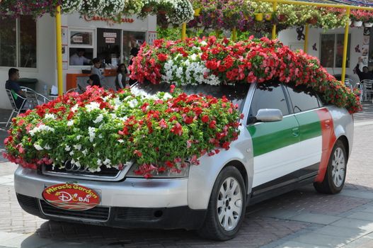 Dubai Miracle Garden in the UAE. It has over 45 million flowers.